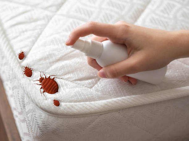 Best Emergency Pest Control  in Chenoweth, OR